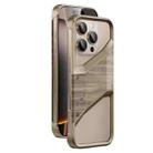 For iPhone 16 Pro Aluminum Alloy Solid Wood Frameless Hollow Metal Phone Case(Gold) - 1