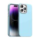 For iPhone 14 Pro Colorful Series Shockproof Phone Case(Blue) - 1