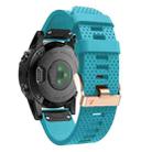 For Garmin 20mm Spotted Rose Gold Buckle Silicone Quick Release Watch Band(Sky Blue) - 1