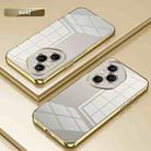 For Honor 400 Pro Global 160.8mm Transparent Plating Fine Hole Phone Case(Gold) - 2