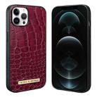 For iPhone 12 Pro Max VIETAO Alligator Texture PU Phone Case(Red) - 1