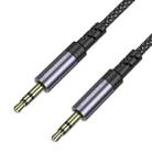 Borofone BL24 3.5mm Graceful AUX Audio Cable, Length:1m(Gray) - 2