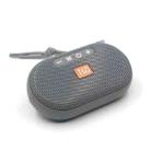 T&G TG441 TWS Mini Plug-in Card Portable Wireless Bluetooth Speaker(Grey) - 1