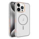 For iPhone 15 Pro Max Frosted Translucent Side Ice Fog Cooling MagSafe Phone Case(Grey) - 1