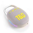 T&G TG447 Mini Portable Outdoor Sports Bluetooth Speaker(Grey) - 1