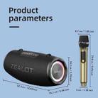 Zealot S87M 80W Portable Outdoor RGB Bluetooth Speaker with Microphone(Black) - 3