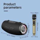 Zealot S87M 80W Portable Outdoor RGB Bluetooth Speaker with Dual Microphones(Black) - 3