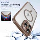 For iPhone 16 Pro Translucent Frosted MagSafe Phone Case with AI Button(Gold) - 2