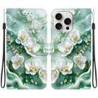 For iPhone 16 Pro Max Crystal Texture Colored Drawing Leather Phone Case(Jade Flowers) - 1