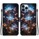 For iPhone 13 Pro Max Crystal Texture Colored Drawing Leather Phone Case(Little Lantern Flower) - 1