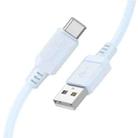 Borofone BX115 Lotto 3A USB to Type-C Charging Cable, Length: 1m(Blue) - 2