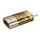 hoco UA36A 8 Pin Male to USB-C / Type-C Female OTG Transparent Adapter(Gold) - 2