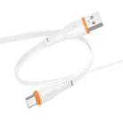 Borofone BX118 Esplendido 3A USB to Type-C Charging Data Cable, Length: 1m(White) - 2