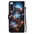 For Sony Xperia 5 VI Crystal Texture Colored Drawing Leather Phone Case(Little Lantern Flower) - 3