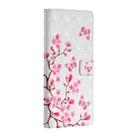 For Samsung Galaxy A20s 3D Painted Pattern Horizontal Flip Leather Case with Holder & Card Slots & Photo Frame & Wallet(Dielianhua) - 2