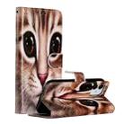 For iPhone 12 mini Painted Pattern Horizontal Flip Leather Case with Holder & Card Slots & Photo Frame(Coffee Cat) - 1