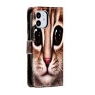 For iPhone 12 mini Painted Pattern Horizontal Flip Leather Case with Holder & Card Slots & Photo Frame(Coffee Cat) - 3