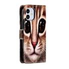 For iPhone 12 mini Painted Pattern Horizontal Flip Leather Case with Holder & Card Slots & Photo Frame(Coffee Cat) - 3