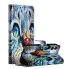 For iPhone 12 / 12 Pro Painted Pattern Horizontal Flip Leather Case with Holder & Card Slots & Photo Frame(Blue Cat) - 1