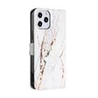 For iPhone 12 Pro Max Painted Pattern Horizontal Flip Leather Case with Holder & Card Slots & Photo Frame(White Gravel) - 3