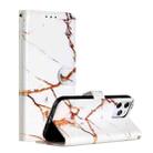 For iPhone 12 Pro Max Painted Pattern Horizontal Flip Leather Case with Holder & Card Slots & Photo Frame(Platinum Marble) - 1