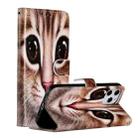 For iPhone 12 Pro Max Painted Pattern Horizontal Flip Leather Case with Holder & Card Slots & Photo Frame(Coffee Cat) - 1