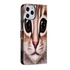 For iPhone 12 Pro Max Painted Pattern Horizontal Flip Leather Case with Holder & Card Slots & Photo Frame(Coffee Cat) - 3