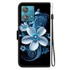 For Motorola Edge 40 Neo Crystal Texture Colored Drawing Leather Phone Case(Black Orchid) - 3