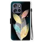 For Motorola Edge 50 Neo 5G Global Crystal Texture Colored Drawing Leather Phone Case(Colored Leaves) - 3