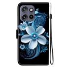 For Motorola Edge 50 Neo 5G Global Crystal Texture Colored Drawing Leather Phone Case(Black Orchid) - 3