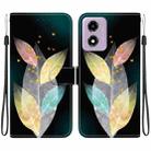 For Motorola Moto G04s / E14 Crystal Texture Colored Drawing Leather Phone Case(Colored Leaves) - 1