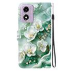 For Motorola Moto G04s / E14 Crystal Texture Colored Drawing Leather Phone Case(Jade Flowers) - 3