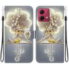 For Motorola Moto G84 Crystal Texture Colored Drawing Leather Phone Case(Sika Deer) - 1