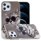 For iPhone 12 Pro Max Painted Pattern TPU Protective Case(Glasses Cat) - 1