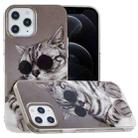 For iPhone 12 / 12 Pro Painted Pattern TPU Protective Case(Glasses Cat) - 1