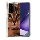 For Samsung Galaxy Note20 Ultra Painted Pattern TPU Protective Case(Gaffe) - 1