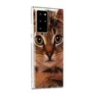 For Samsung Galaxy Note20 Ultra Painted Pattern TPU Protective Case(Gaffe) - 2