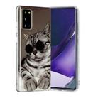 For Samsung Galaxy Note20 Painted Pattern TPU Protective Case(Glasses Cat) - 1