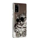 For Samsung Galaxy Note20 Painted Pattern TPU Protective Case(Glasses Cat) - 2