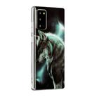 For Samsung Galaxy Note20 Painted Pattern TPU Protective Case(Night Sky Wolf) - 3