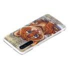 For OnePlus Nord Painted Pattern TPU Protective Case(Tiger) - 3