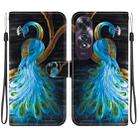 For OPPO A60 4G Crystal Texture Colored Drawing Leather Phone Case(Peacock) - 1