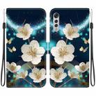 For LG Velvet  5G/ G9 4G Crystal Texture Colored Drawing Leather Phone Case(Magnolia) - 1