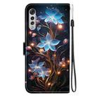 For LG Velvet  5G/ G9 4G Crystal Texture Colored Drawing Leather Phone Case(Little Lantern Flower) - 3