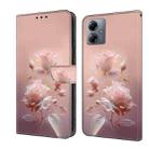 For Motorola Moto G14 Fresh Painted Leather Phone Case(Ceramic Flowers) - 1