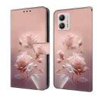 For Motorola Moto G53 5G Fresh Painted Leather Phone Case(Ceramic Flowers) - 1