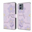 For Motorola Moto G 2023 Fresh Painted Leather Phone Case(Dark Purple Flowers) - 1