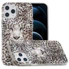 For iPhone 12 Pro Max Luminous TPU Soft Protective Case(Leopard Tiger) - 1