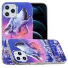 For iPhone 12 Pro Max Luminous TPU Soft Protective Case(Seven Wolves) - 1