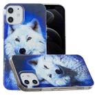 For iPhone 12 / 12 Pro Luminous TPU Soft Protective Case(Starry Sky Wolf) - 1